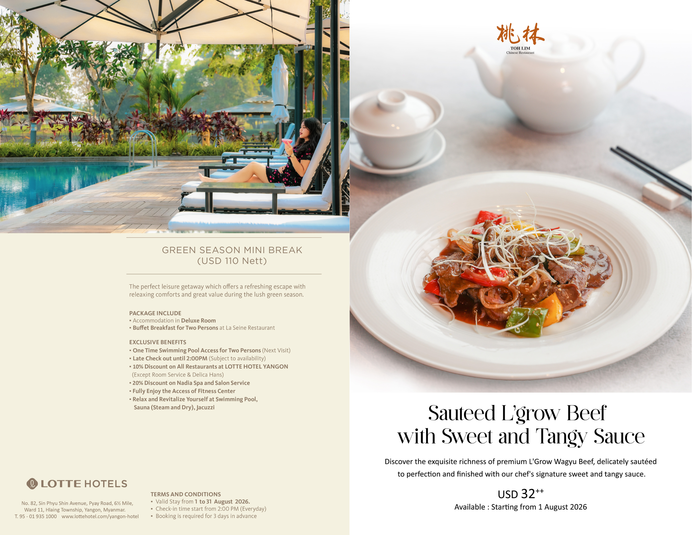 Lotte_Newsletter